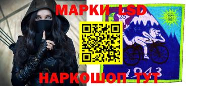 spice Камышлов