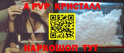 spice Камышлов