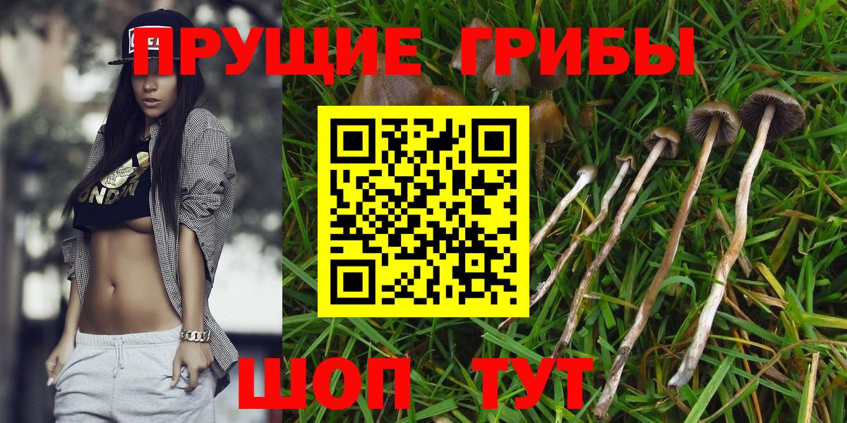 Лесной  Псилоцибиновые грибы Magic Shrooms  Вход с VPN 